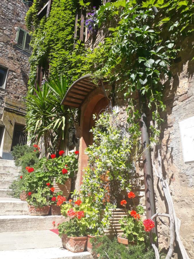 La Piazzetta Toscana B&B カンピーリア・マリッティマ エクステリア 写真